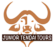 Maroon-Logo